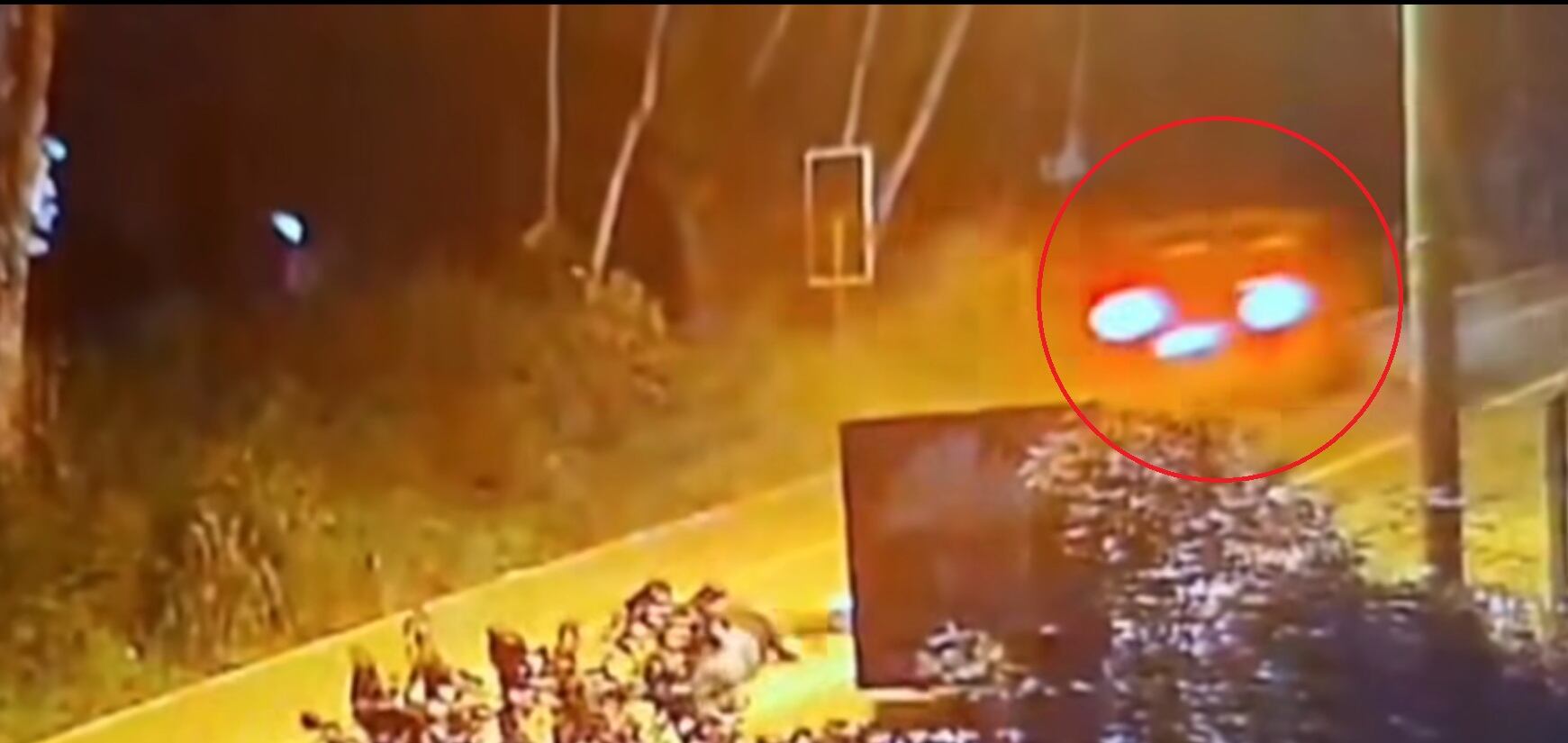 Óscar Pinzón murió atropellado por un vehículo tipo buggy en Bahía Ballena. Foto Facebook.