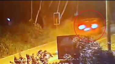 Tico escapó de la muerte, pero un profundo dolor lo persigue