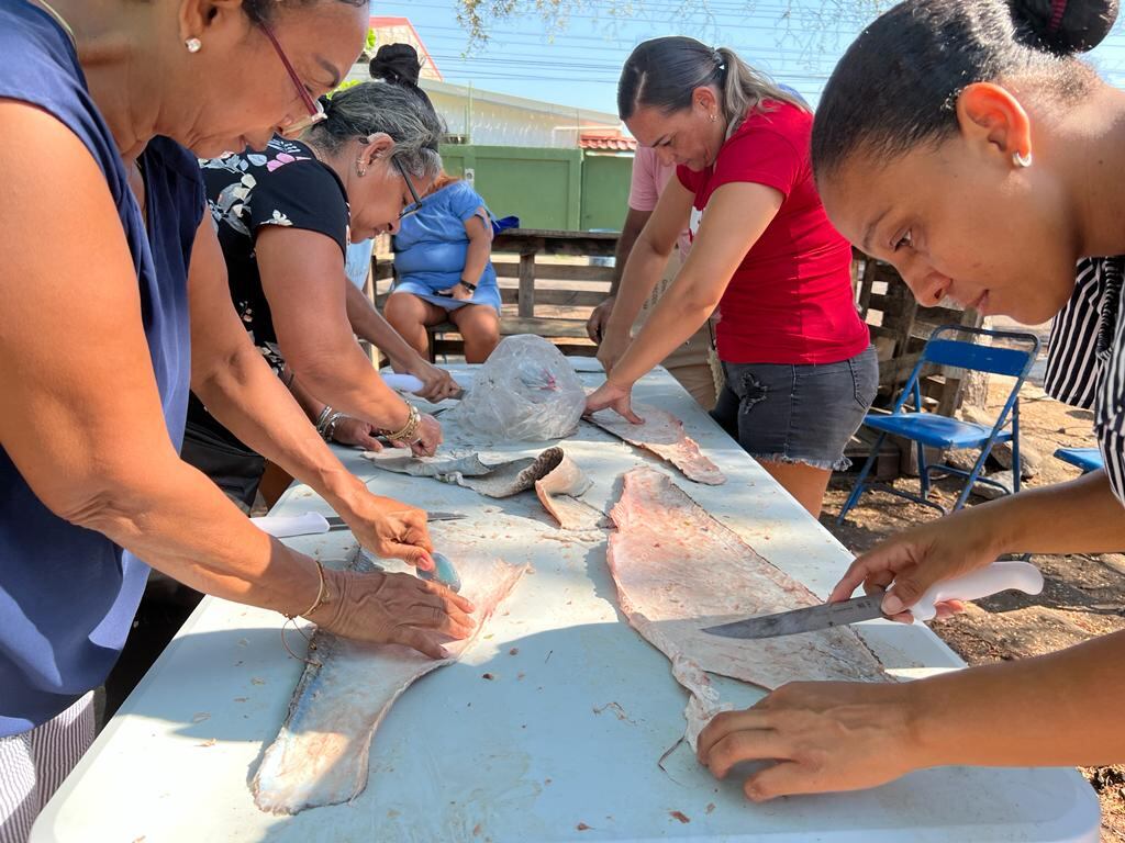 Familias pesqueras de Puntarenas ahora harán platica con el cuero del pescado. El cuero del pescado es considerado en Puntarenas como material de desecho que más bien contamina y ahora servirá para ganar dinero
