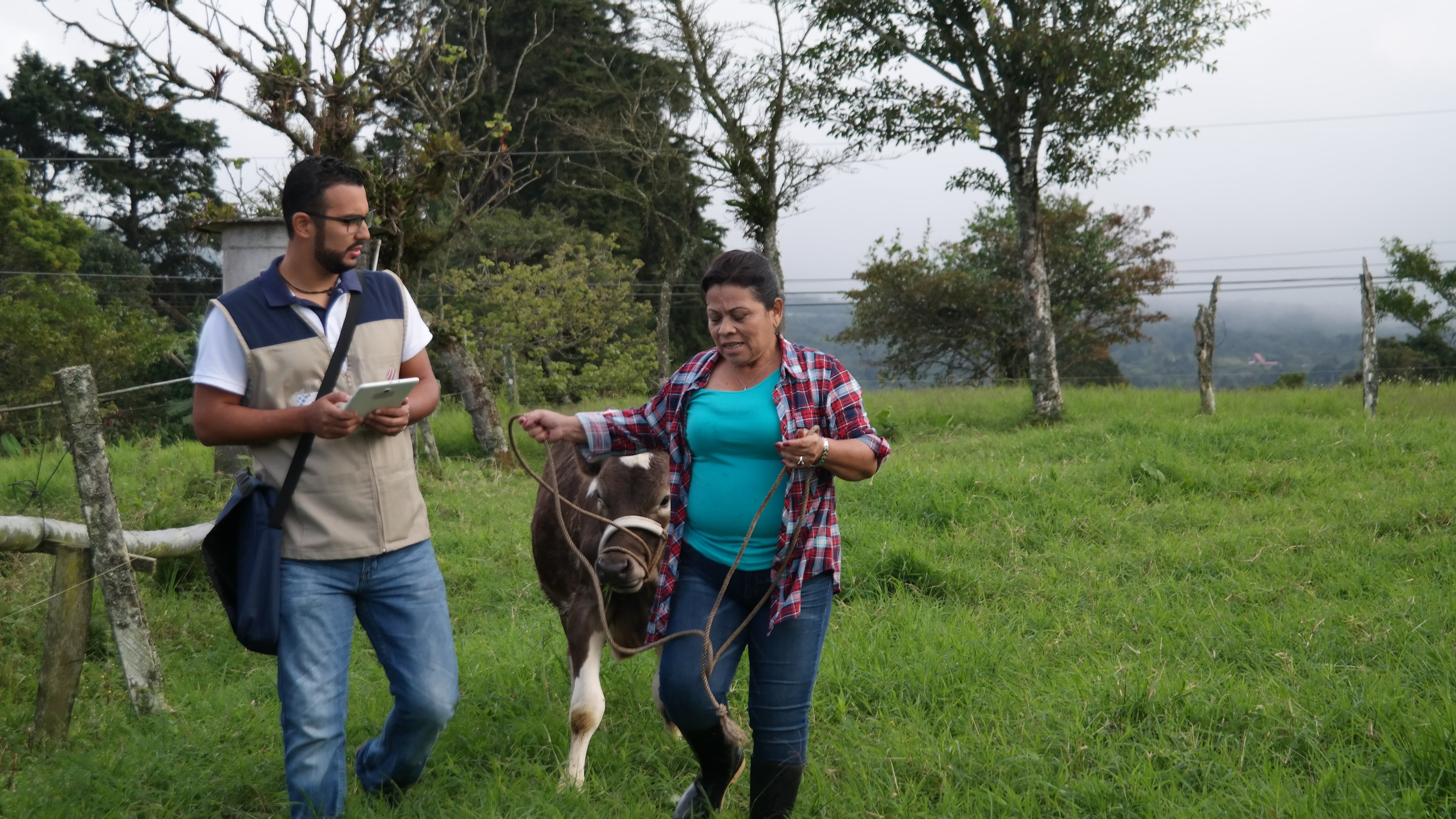 Ayude a la Encuesta de Hogares, pero esté ojo al Cristo contra la delincuencia