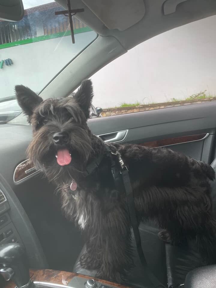 Cosas que nunca deben hacer los choferes