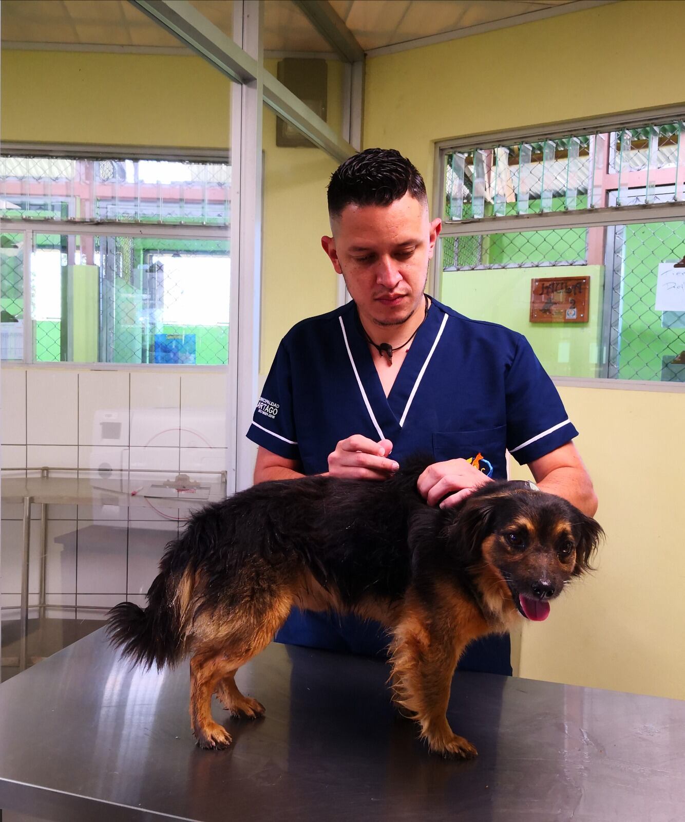 Los brumosos tienen un Centro Municipal de Educación para el Cuido Animal. De acuerdo a veterinario, Rafael Hernández Solano, encargado del lugar que tiene 7 años de funcionar