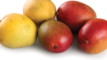 Devolverán a su país los restos del extranjero que murió en Costa Rica de un disparo al pelear por unos mangos