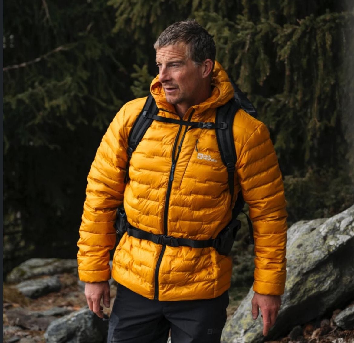 Bear Grylls