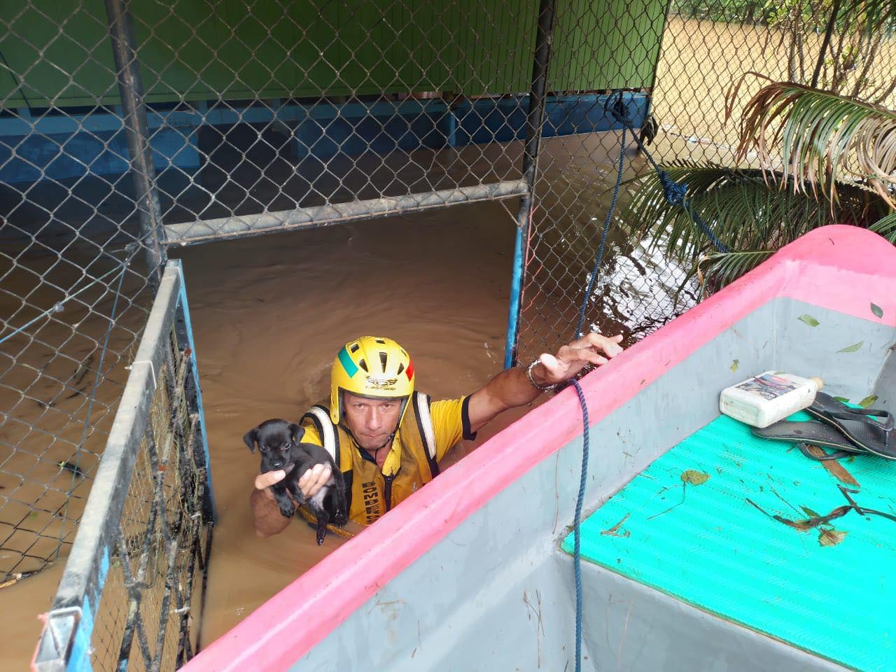 Este valiente bombero demostró que en una emergencia todas las vidas cuentan. Foto Bomberos.