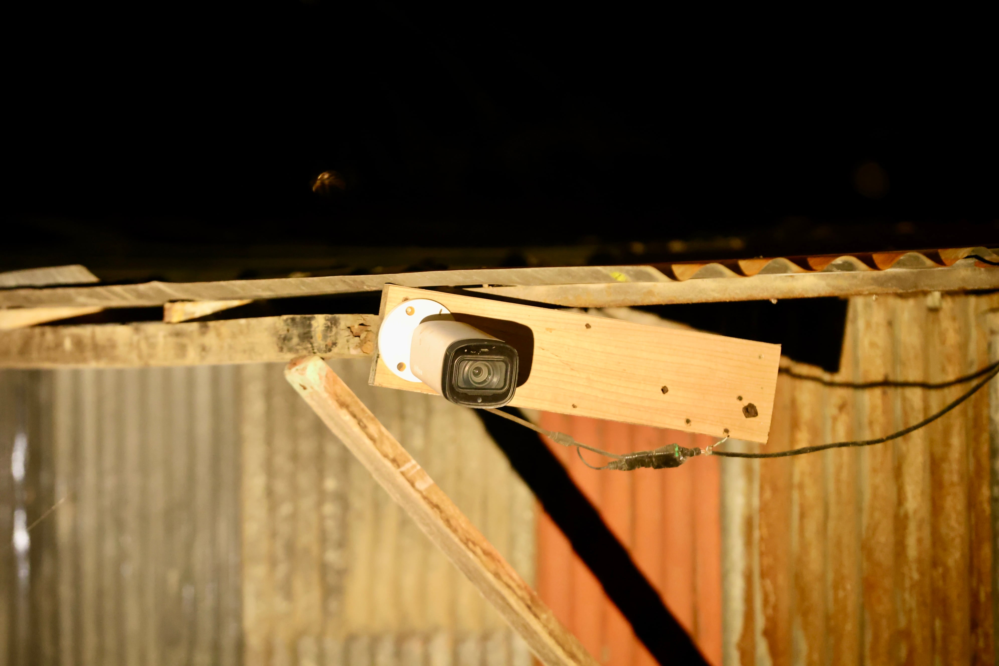 Allanamiento León Trece