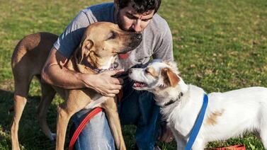 Viva Feria de Mascotas 2023: donde perros y gatos disfrutan con sus dueños