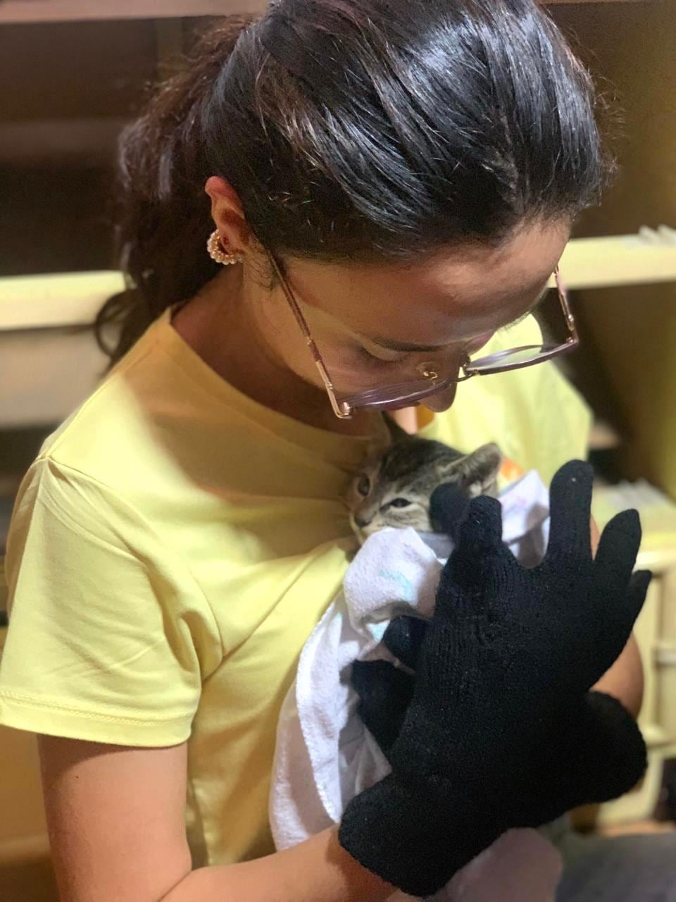 Benji, un zaguatico con alma de ángel, y Ágatha, una gatita de mirada sabia y carácter fuerte, quienes son los modelos oficiales de Bulupets, la tienda de accesorios para mascotas que su dueña, Sofía Moya Espinoza