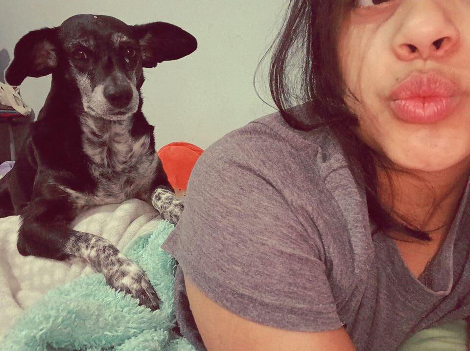 En San Rafael de Heredia vive Julieta, una perrita zaguatica de cinco años que, como dice su abuelita perruna, “ella fue quien escogió a la familia”