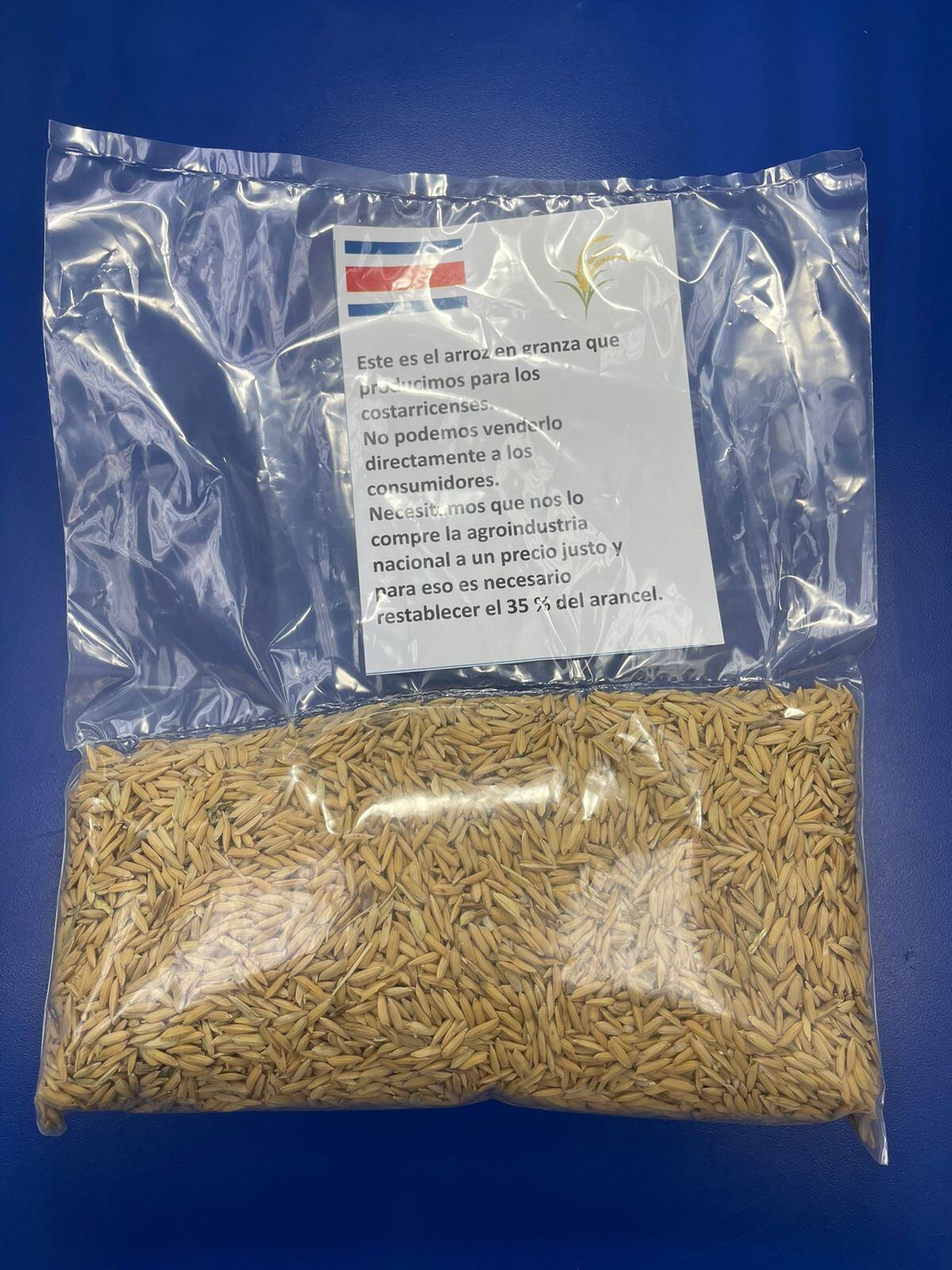 Un grupo de productores arroceros de todo el país protesta este jueves 8 de diciembre frente al ministerio de Agricultura y Ganadería (MAG), en San Jose, para mostrar una vez más el grave daño que les está provocando la Ruta del Arroz, impulsada por el actual gobierno