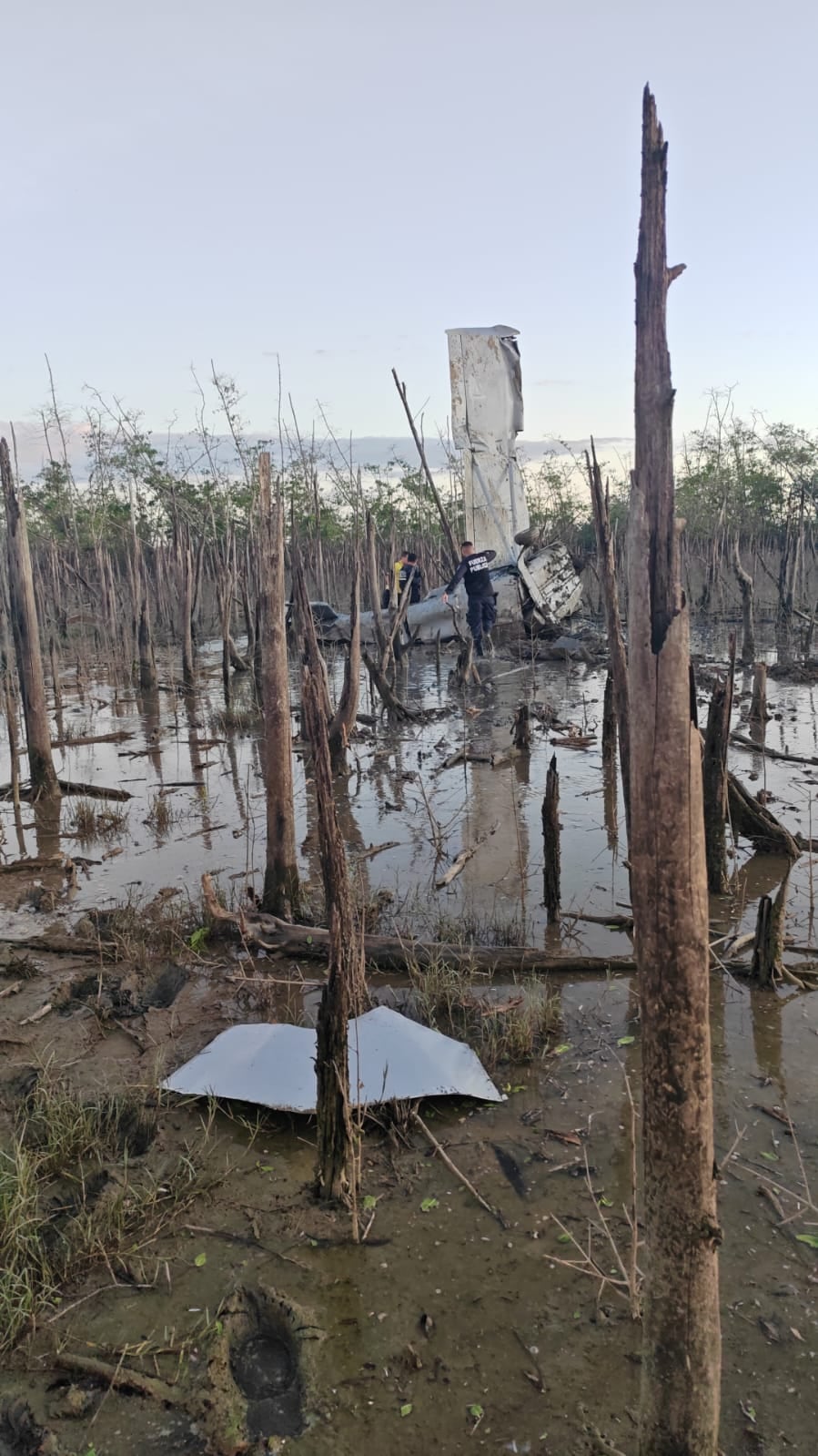 Autoridades encontraron droga en avioneta accidentada en la Zona Sur