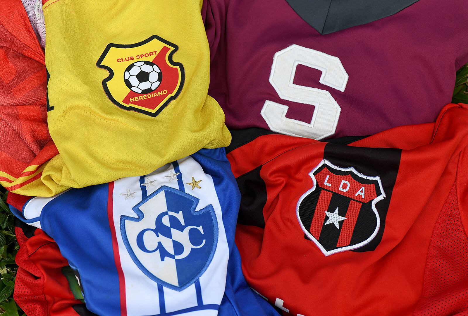 Víctor Sánchez Corrales es profesor emérito de la Escuela de Filología, Lingüística y Literatura de la Universidad de Costa Rica y junto a un equipo de trabajo creó el Diccionario del  Español de Costa Rica.