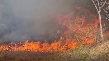 Bomberos le hacen frente a nuevo incendio forestal