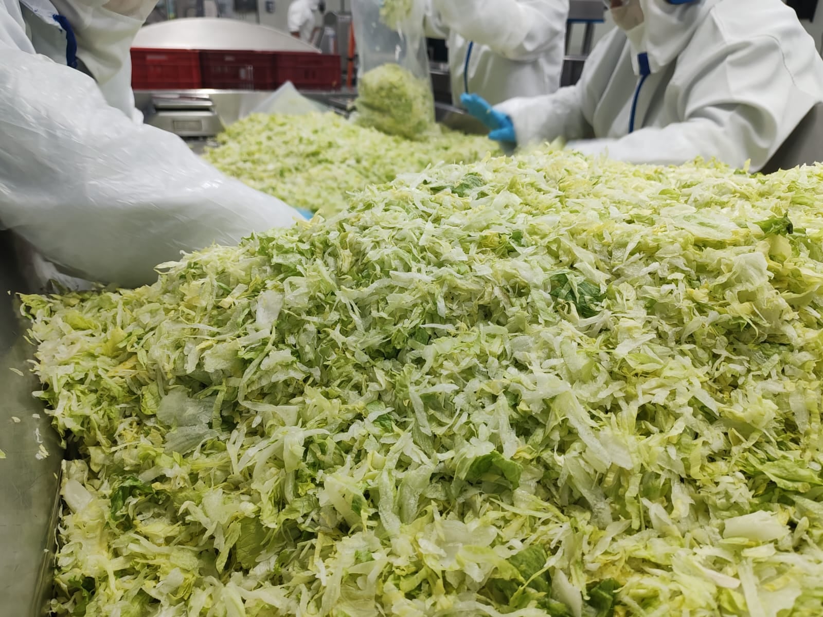 VEGETALES FRESQUITA MCDONALD'S