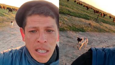 Lo echaron de su trabajo y su video llorando por tener que despedirse de su perro conmovió a todos