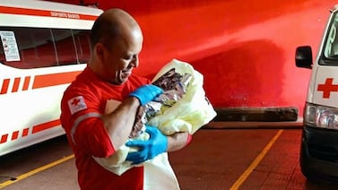 Parto inesperado: mujer dio a luz en la Cruz Roja tras llegar en servicio de plataformas