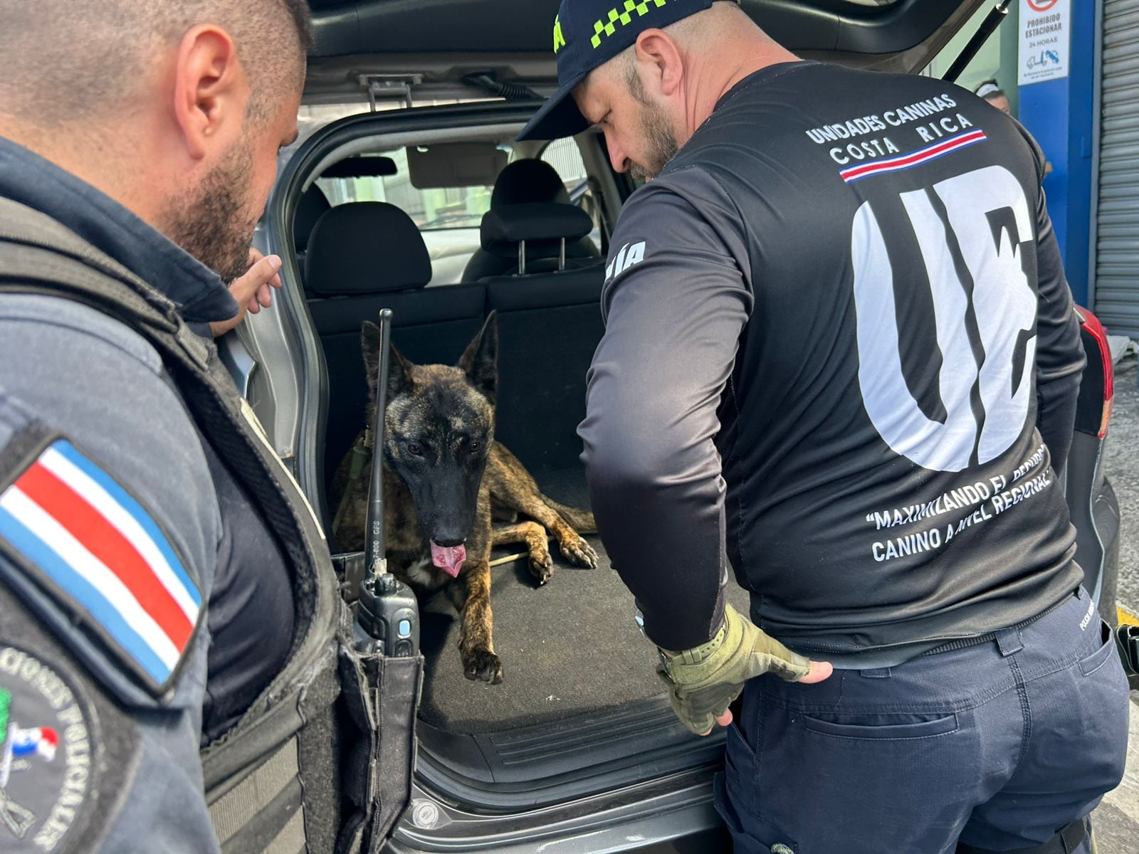 Un jugador de fútbol fue detenido tras verse vinculado a un hecho grave relacionado con presunta droga en San Carlos, Sasha de la Unidad Canina encontró los compartimientos y la aparente droga. Foto: Policía Municipal de San Carlos