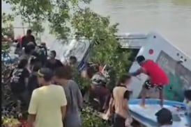 Video: Camión cae a estero y personas aprovecharon para llevarse los refrescos que transportaba