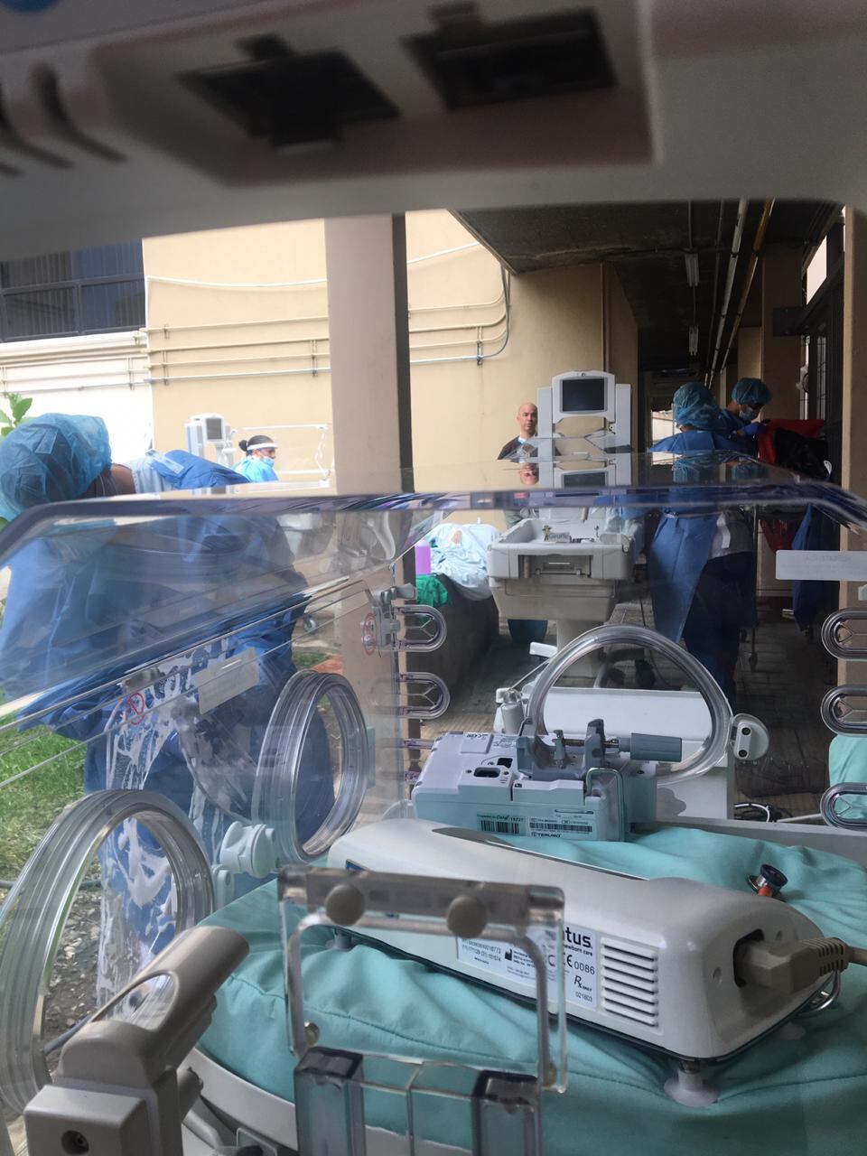 Tres bebés prematuros murieron por peligrosísima bacteria Streptococcus agalactiae