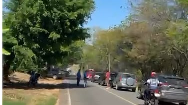 Motociclista muere tras accidente provocado por enjambre de abejas en Nicoya