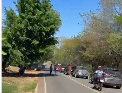 Un enjambre de abejas provocó que una joven falleciera en un accidente