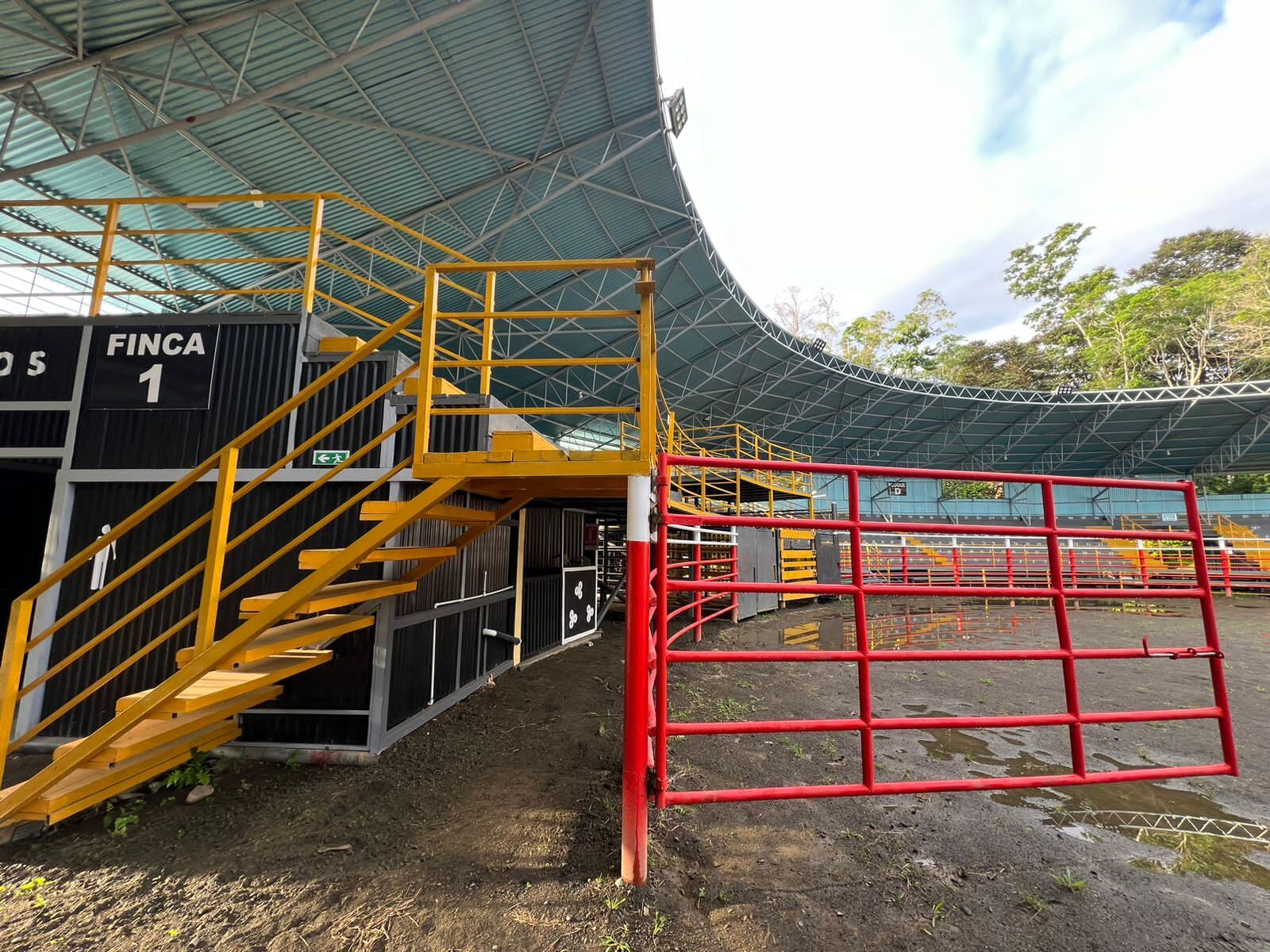 Banda desarticulada por lavado de dinero, pecho de rata