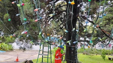 Poner la luces del árbol de Navidad del Hospital de Niños no es una labor sencilla con tanta lluvia