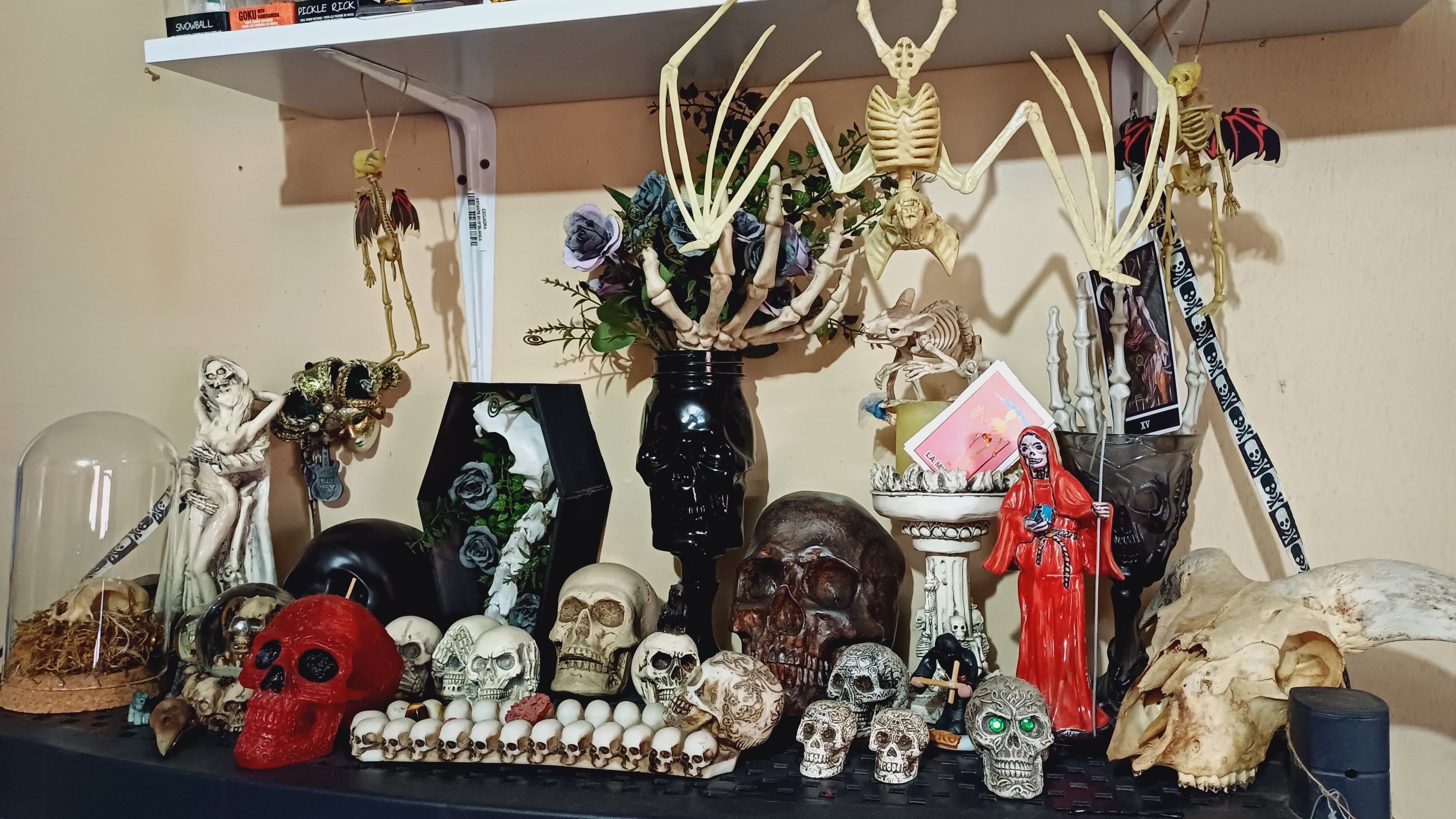 María José Salgado es una joven herediana de 30 años quien desde que estaba en el colegio disfruta de pasar horas en los cementerios, sobre todo si es uno que no conoce.