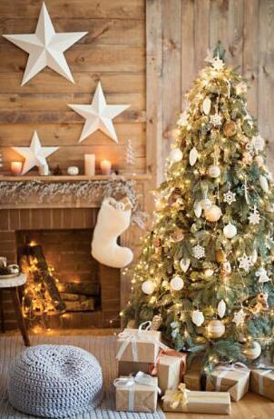 Navidad. Foto: La Nación, GDA