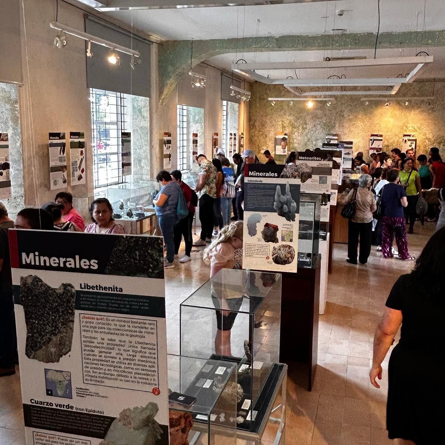 Alrededor de 150 piezas de fósiles, meteoritos y minerales procedentes de más de 30 países del mundo están expuestas gratuitamente en el Museo Regional de San Ramón.