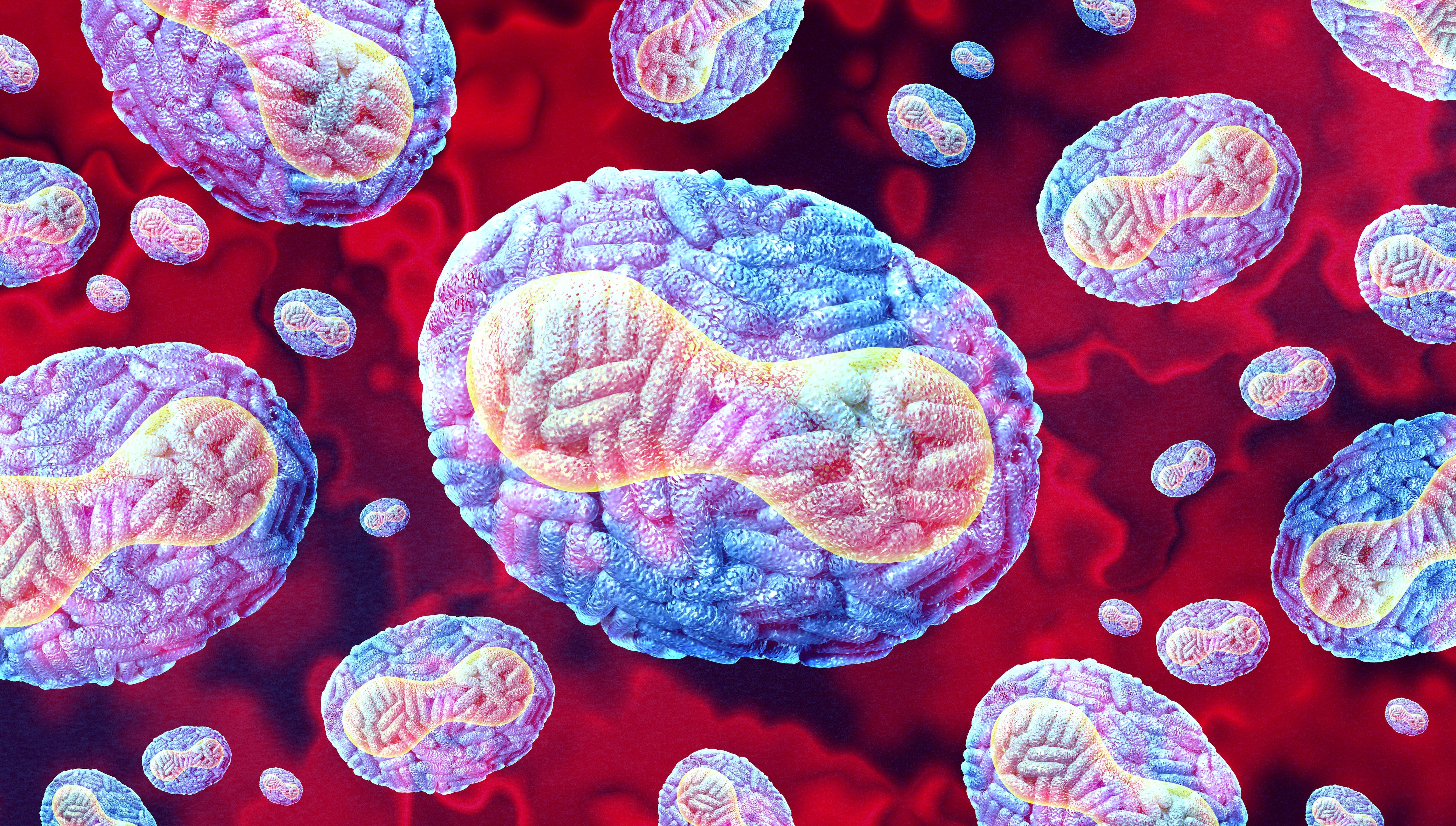 Así se ve el virus del mpox en un microscopio.
Ilustración: Shutterstock