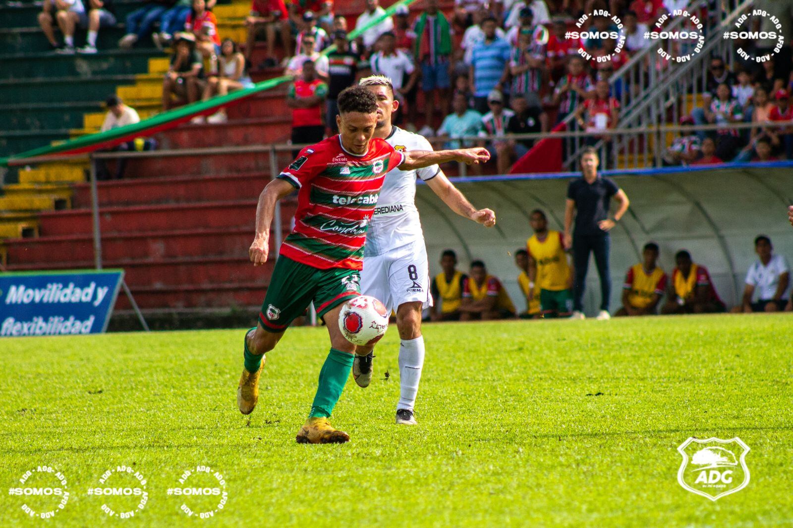 Guanacasteca - Herediano