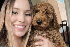 Lanzan campaña de apoyo para veterinaria agredida con martillo