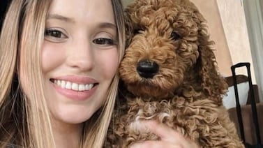 Lanzan campaña de apoyo para veterinaria agredida con martillo