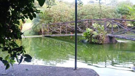 Paraíso de Manantiales se ubica en Alajuela, Río Cuarto, La Colonia Toro Amarillo. Foto: Instagram