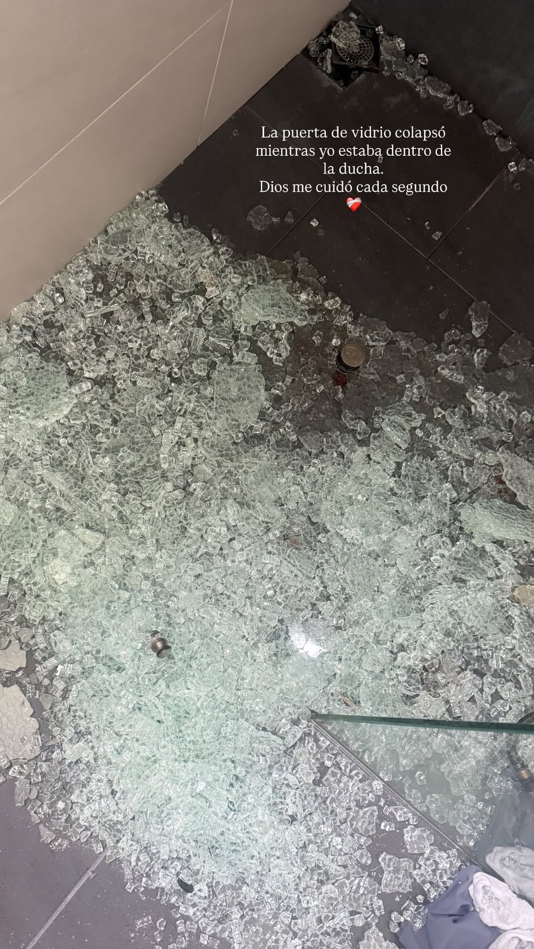 प्रिस्किला झिकेल,