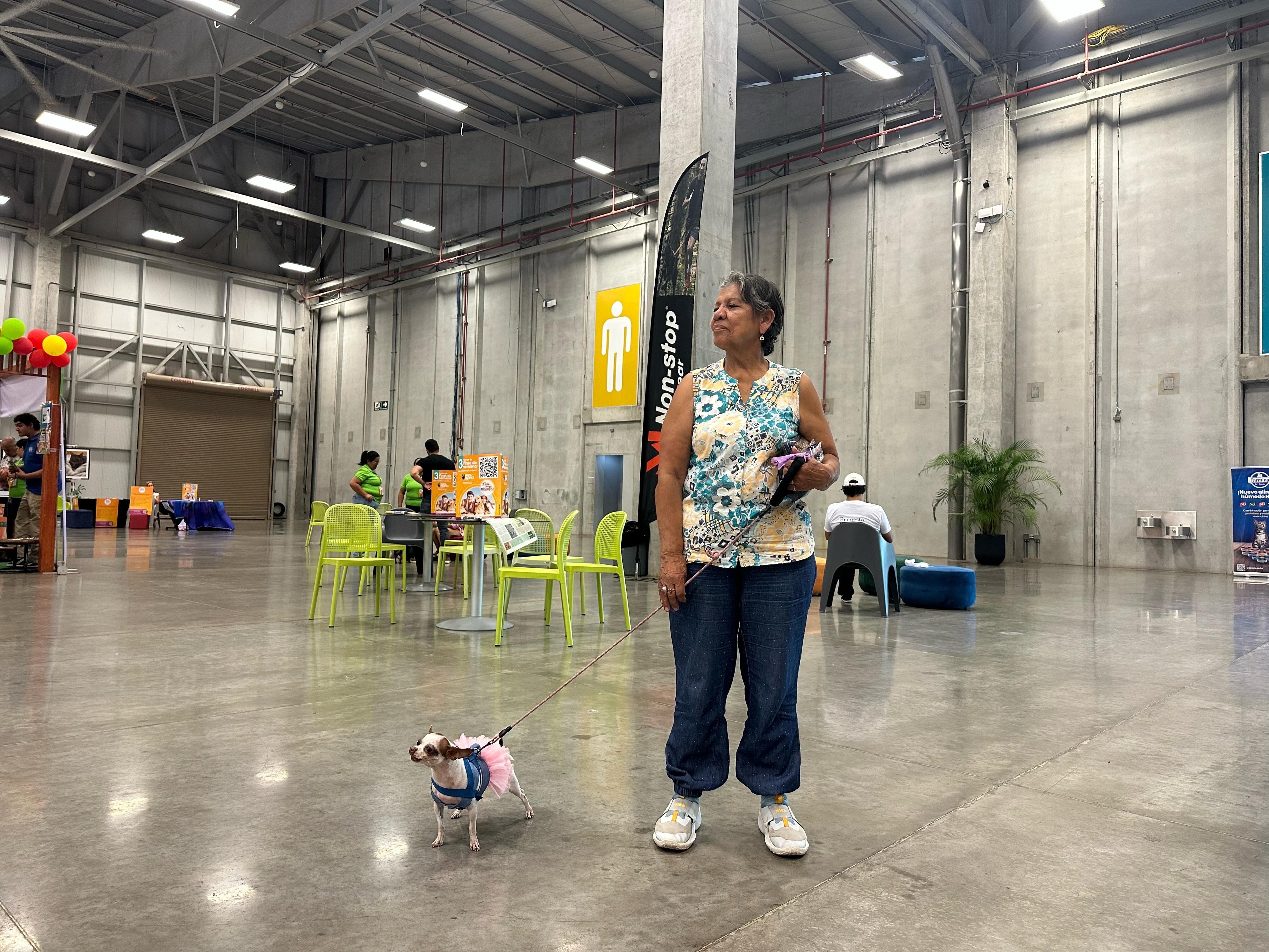 feria de mascotas