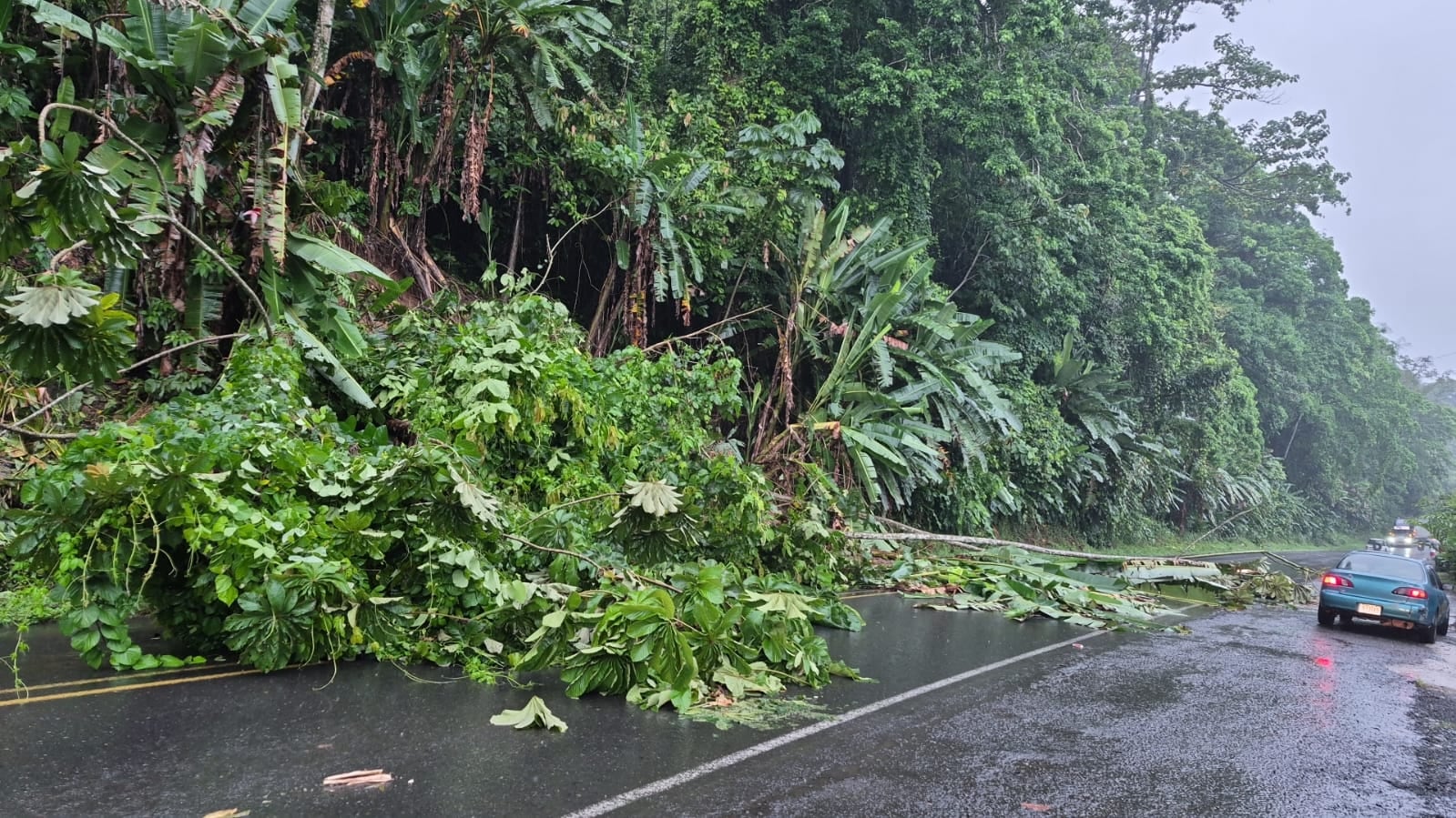 Lluvias dejan afectación por onda tropical #3