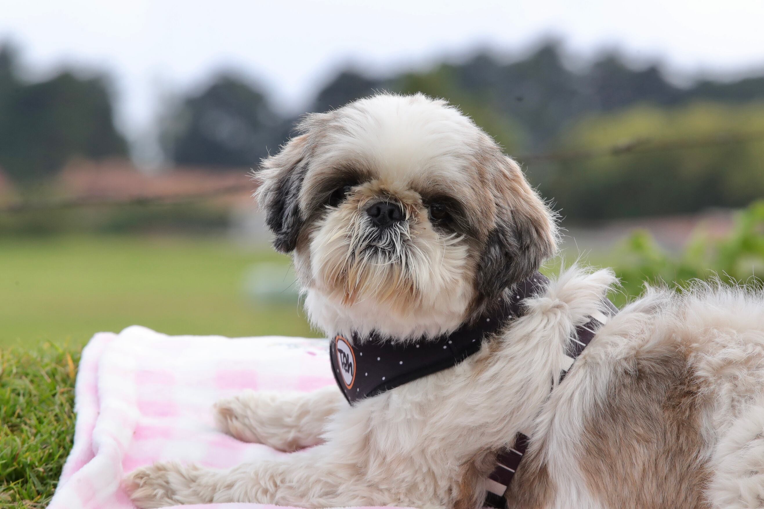 Mirador Potrero Cerrado Cartago