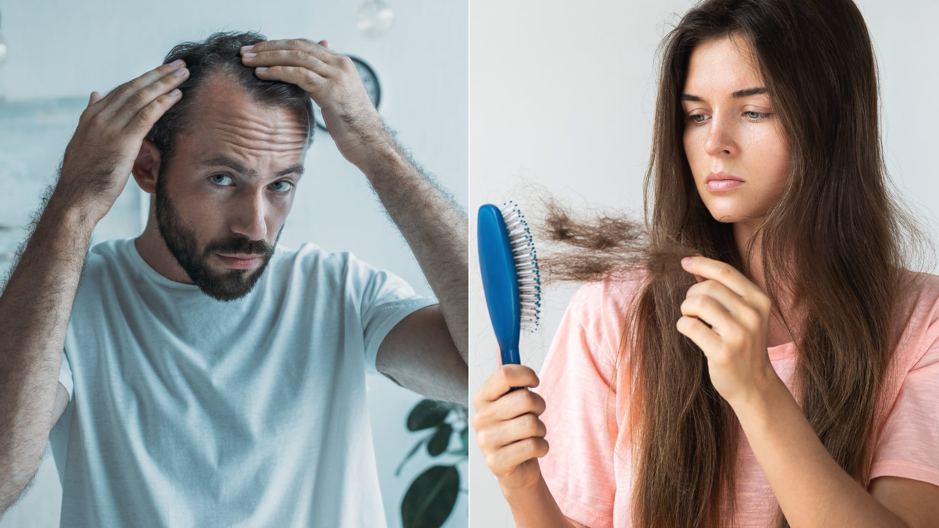Científicos identificaron el mecanismo que vincula estrés agudo con daño folicular e inflamación que causa pérdida de cabello.