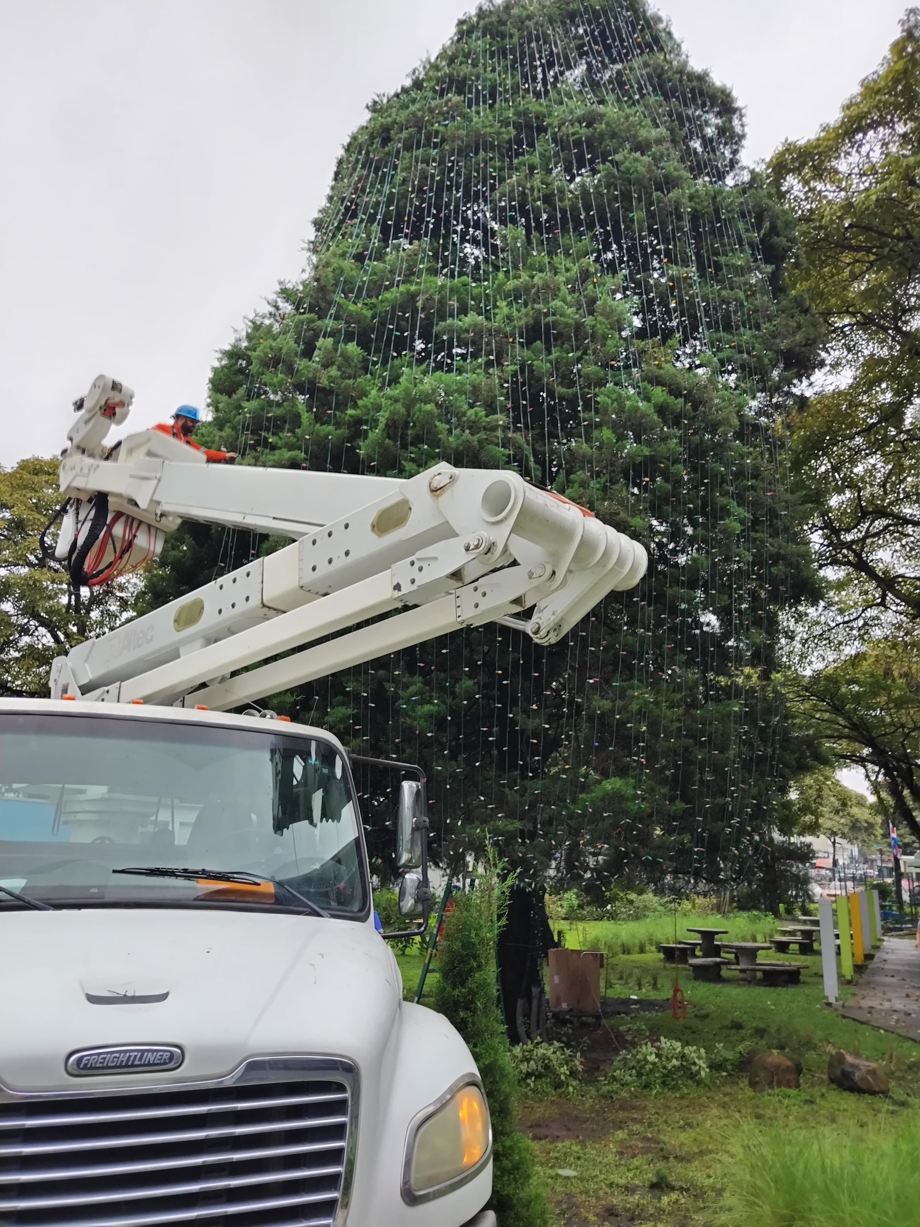 Tremenda alegría nos llevamos cuando pudimos confirmar que al arbolito de Navidad del Hospital Nacional de Niños (HNN) ya le están poniendo las lucecitas que iluminarán la alegría de miles de niños en todo el país, principalmente, a los pequeñitos que están en ese hospital.