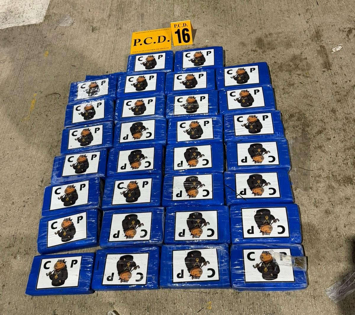 Detienen a sospechosos con cargamento de casi una tonelada de droga. Fotos: MSP