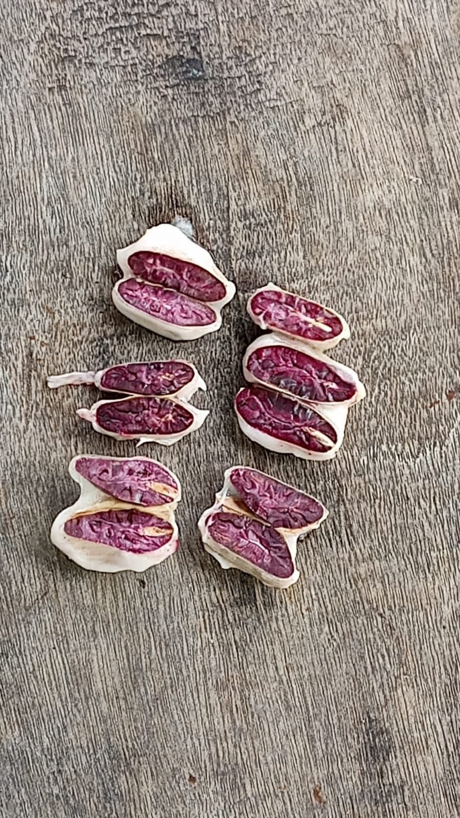 El cacao tico está entre los mejores 50 del mundo