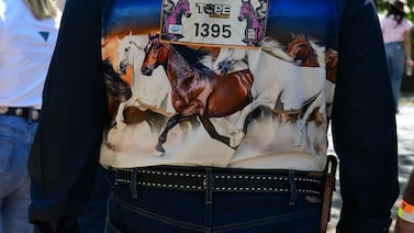 ¿Llegó gente? Vea las primeras fotos del Tope de Palmares 2026