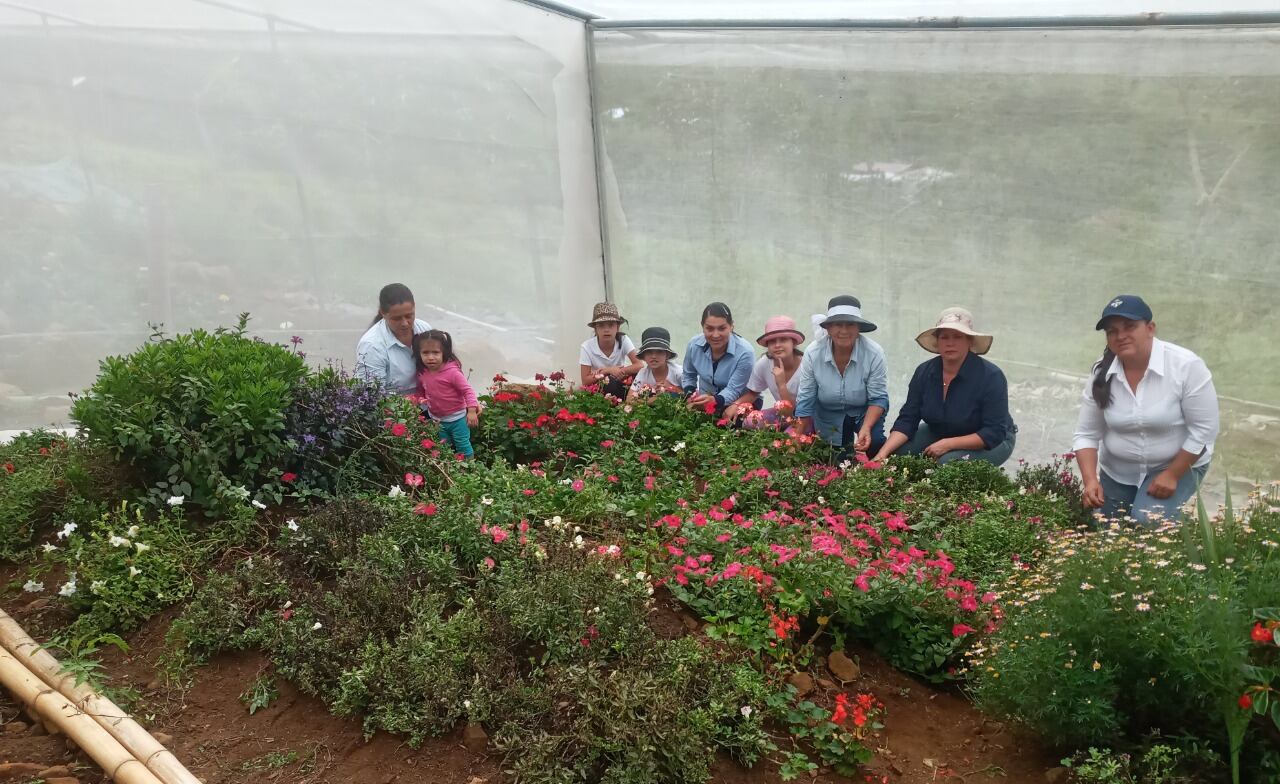 En Cedral de Cajón de Pérez Zeledón vive doña Marta Mora Vega, quien a sus 63 años le ha demostrado a su comunidad que nunca se cansa de aprender y lograr títulos, por eso le dicen la enciclopedia. Tiene un emprendimiento que se llama Madre Selva que es de flores comestibles con: Yorleny Solano Rodríguez, Adriana Díaz Elizondo, Melissa Mora Mora y Rosemary Amador Castillo e hicieron nacer el emprendimiento en un sector cultivado que le pusieron La Huaca