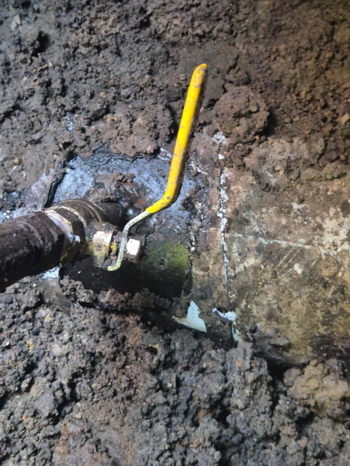 Banda Pichingueros de Barranca fue detenida por robo de combustible