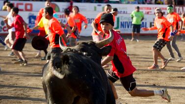 Corridas de toros de Pedregal bajaron precios para que más gente salga en Repretel y Teletica