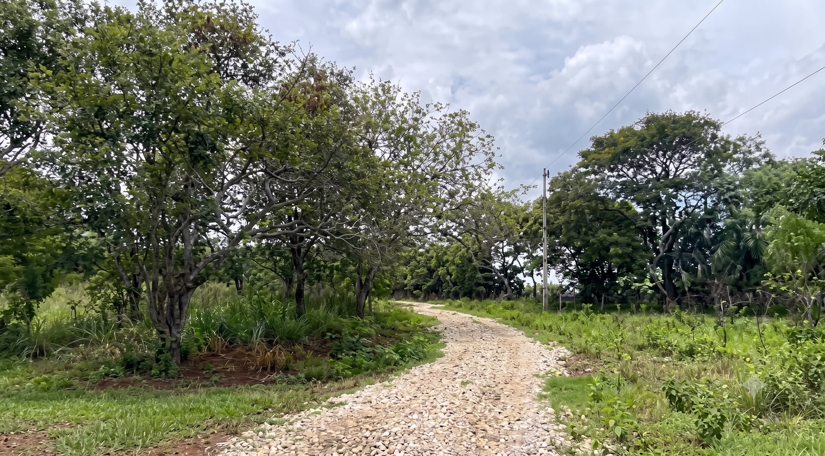 Terreno en Guanacaste