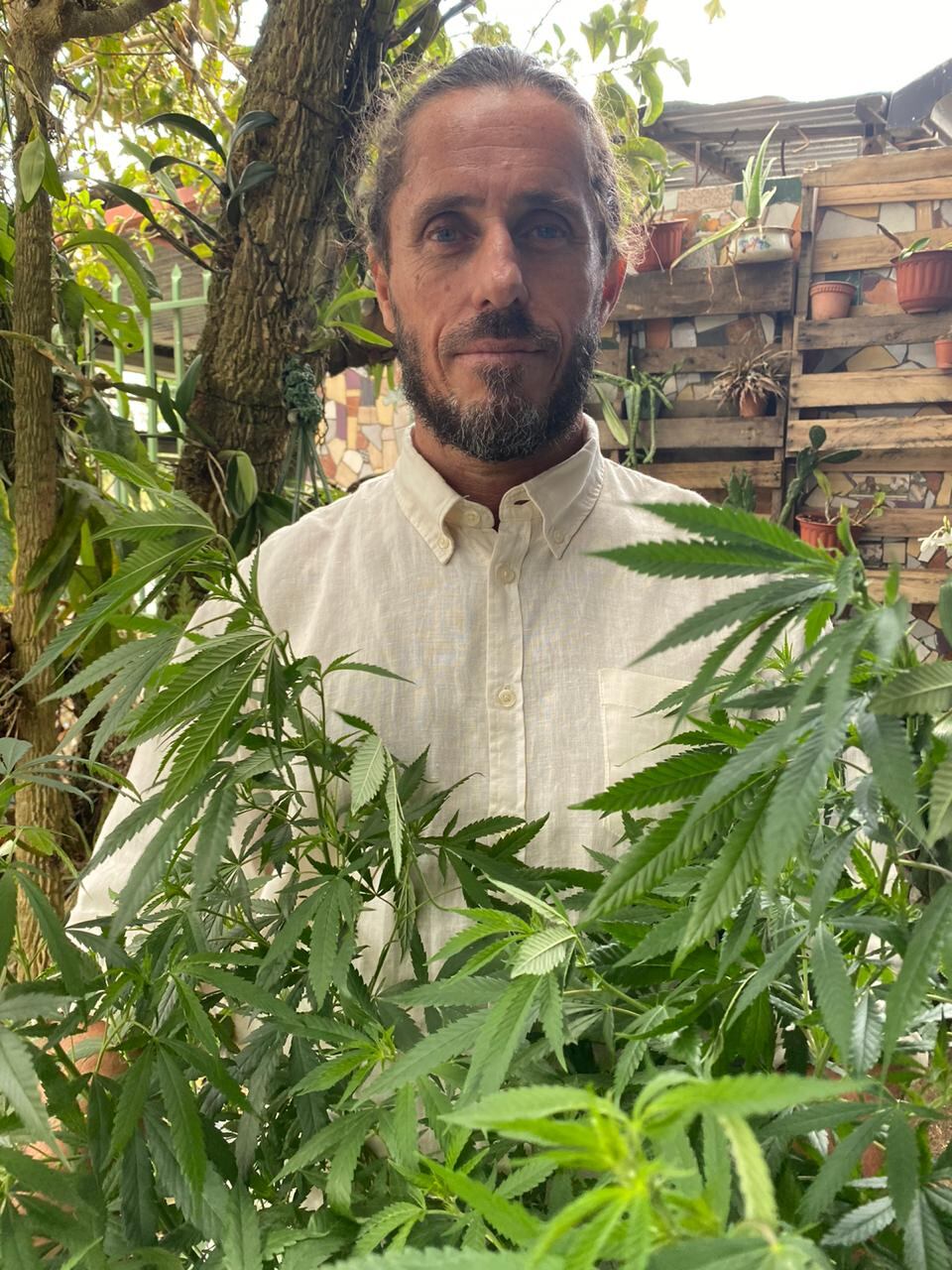 El italiano Silvio Bonomelli, quien tiene años de vivir en Costa Rica y es el representante nacional de la Coalición Costarricense del Cáñamo