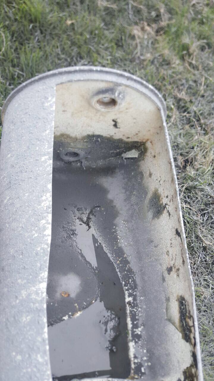 Proteja a sus animales de la ceniza del volcán con estas recomendaciones de Senasa